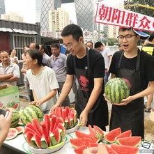 朝阳吃瓜群众网,揭秘娱乐圈幕后故事，带你领略不一样的娱乐圈